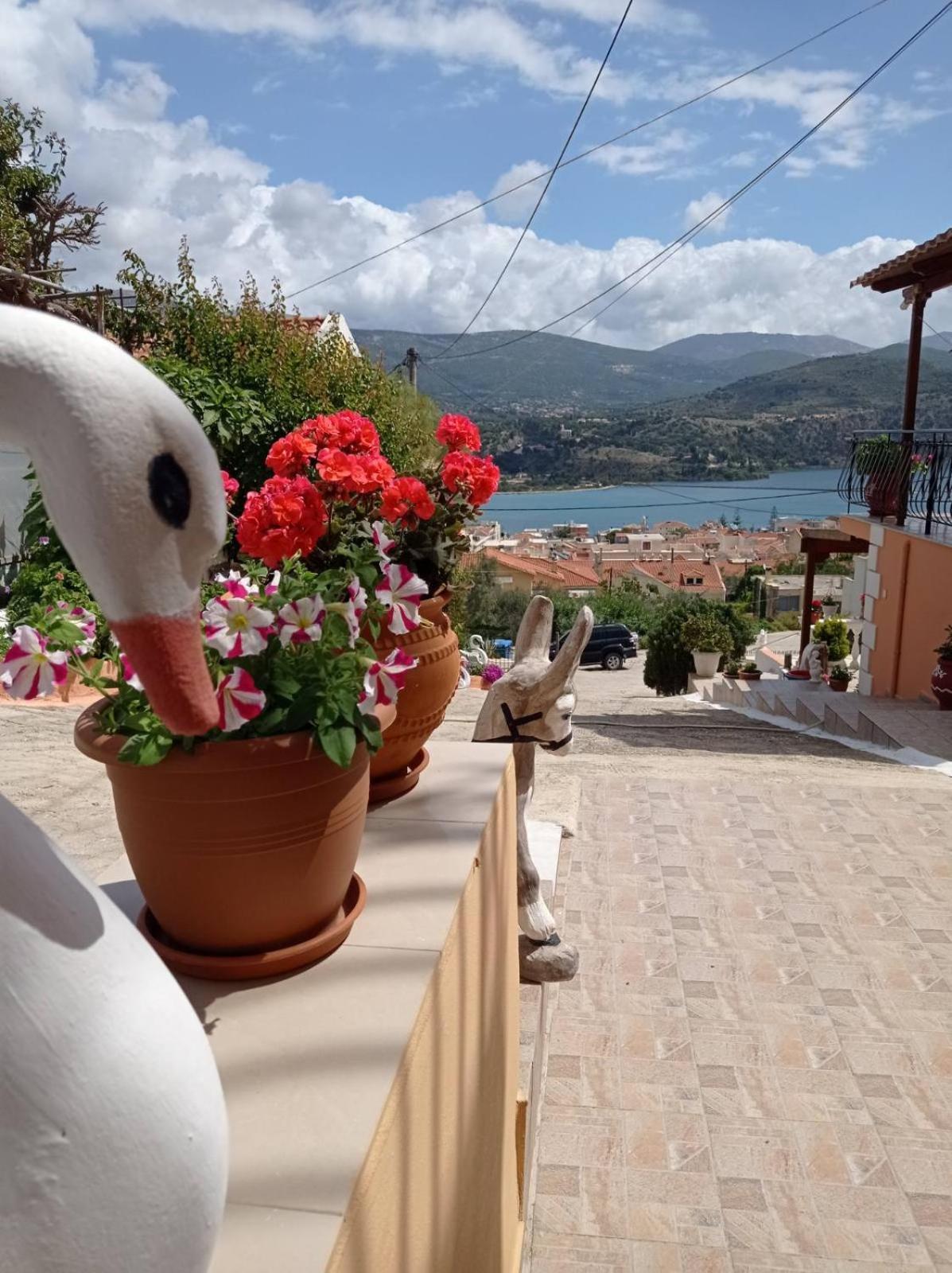Ferienwohnung Elenh House Argostoli  Exterior foto